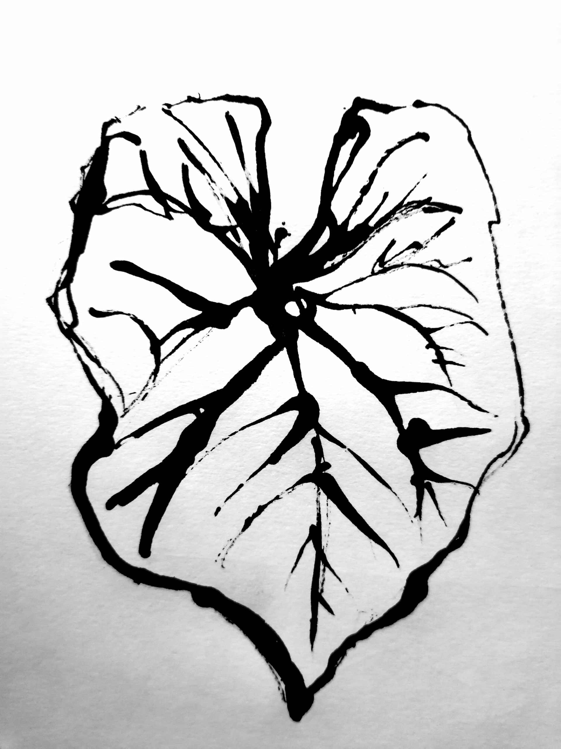 The secret world of drawings pdf picture